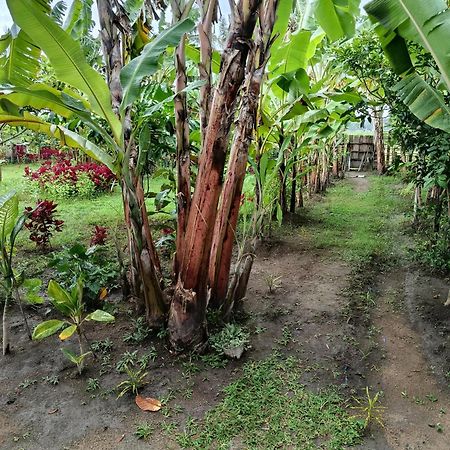 Pemenang The Daun Puntik Homestay מראה חיצוני תמונה