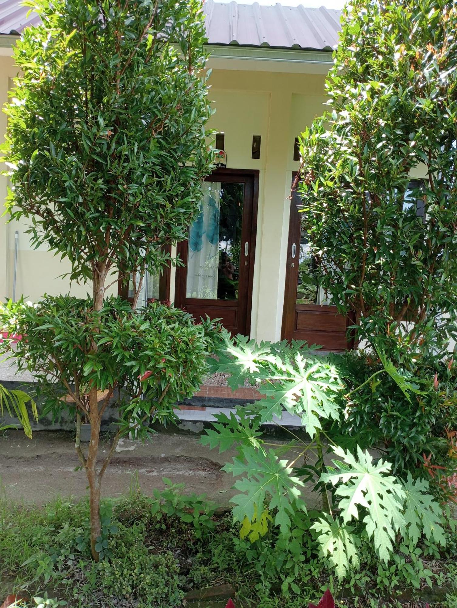 Pemenang The Daun Puntik Homestay מראה חיצוני תמונה